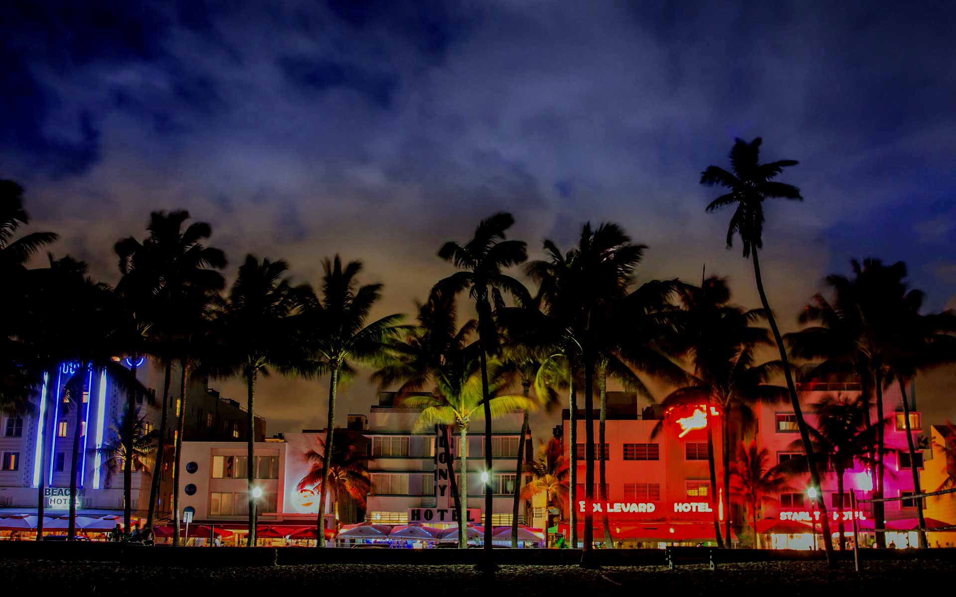 Miami Skyline