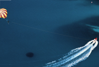 Thumbnail Image 6